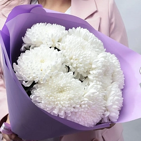 Монобукет  из 9 одноголовых белых хризантем в розовой пленке