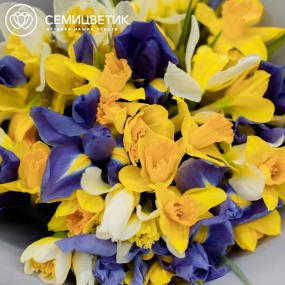 Букет из 30 нарциссов и 13 ирисов в сиреневой пленке