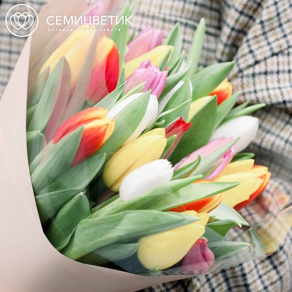 Букет из 25 тюльпанов микс в кремовой пленке