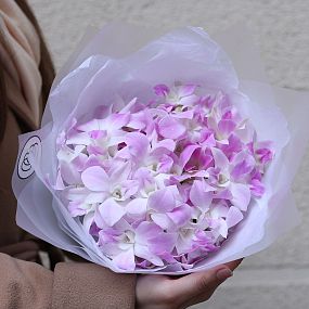 Монобукет  из 51 розовой орхидеи в прозрачной пленке