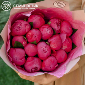 Букет из 15 ярко-розовых пионов Command Performance Premium в розовой пленке