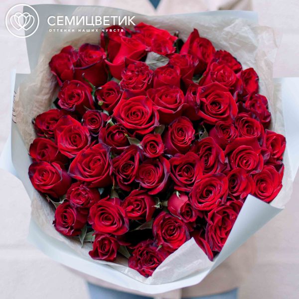 Букет из 51 красной с темной каймой розы Магия 50 см (Россия)