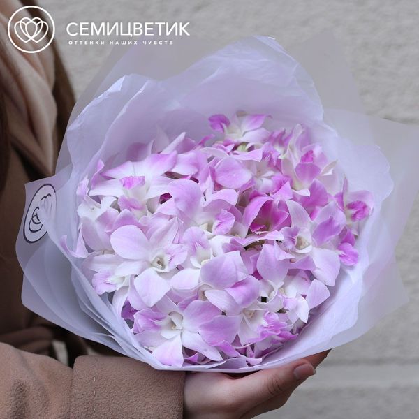 Букет из 51 розовой орхидеи в прозрачной пленке