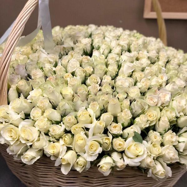 501 белая роза Premium (Кения) в корзине