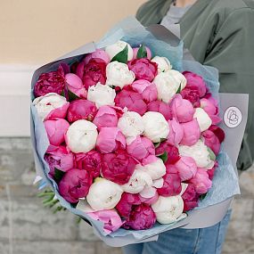 Букет из 51 пиона микс Standart Plus