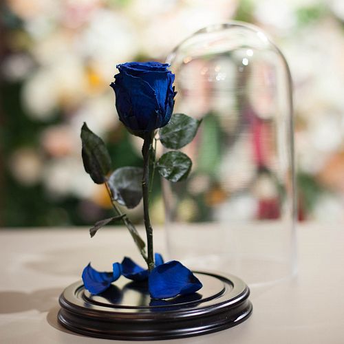 Синяя роза в колбе 28 см
