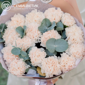 Букет из 15 кремовых гвоздик с эвкалиптом в кремовой пленке