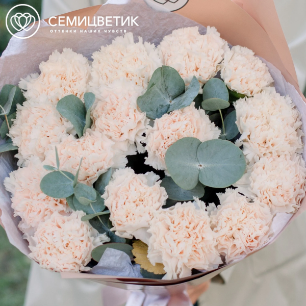 Букет из 15 кремовых гвоздик с эвкалиптом в кремовой пленке