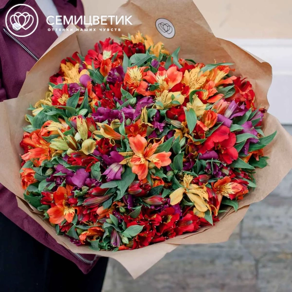 Букет из 51 альстромерии яркий микс в упаковке
