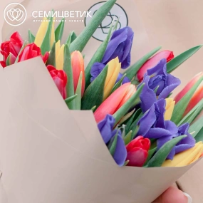 Букет из 10 синих ирисов и 15 тюльпанов 40 см в кремовой пленке