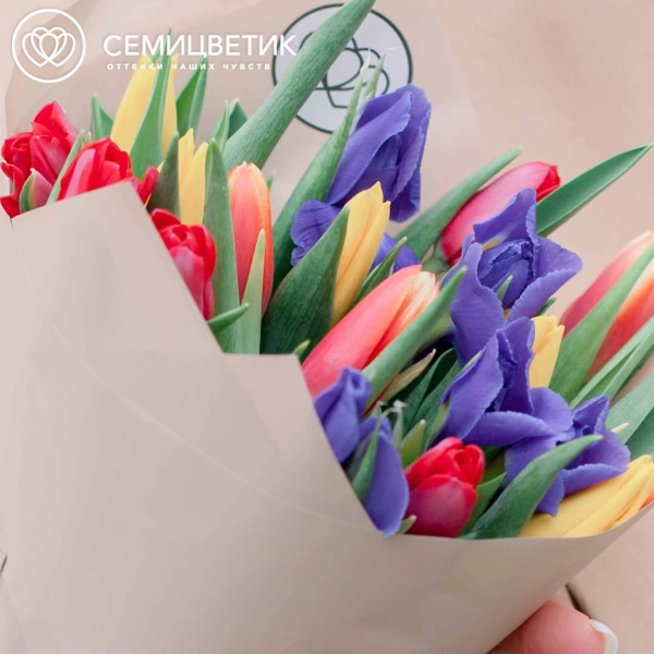 Букет из 10 синих ирисов и 15 тюльпанов 40 см в кремовой пленке