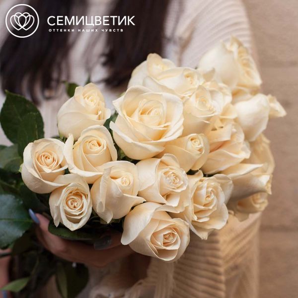 Роза 70 см (Эквадор) Vendela белая поштучно
