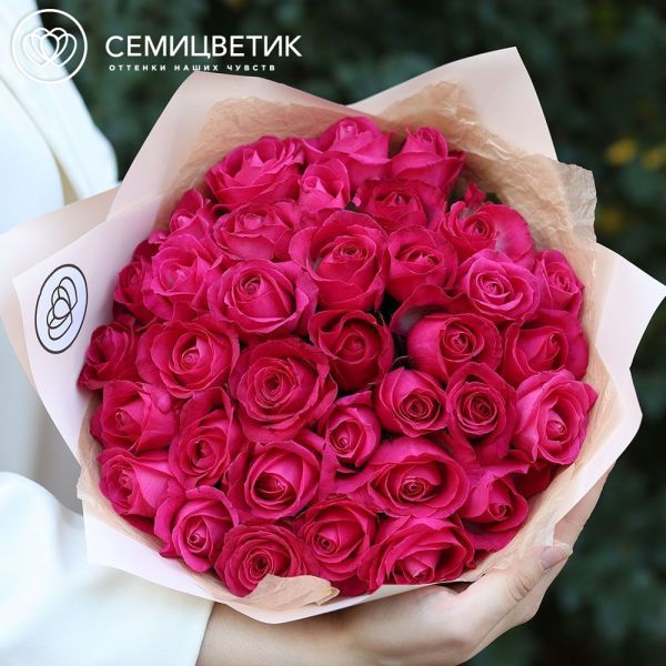 Букет из 35 малиновых роз 40 см (Россия) в кремовой пленке