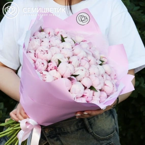 Букет из 51 розового пиона Standart в розовой пленке