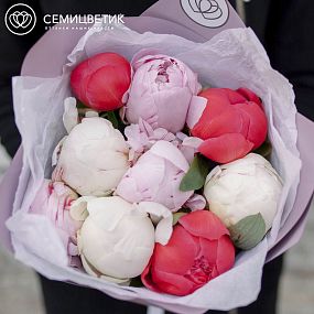 Букет из 9 пионов Premium микс
