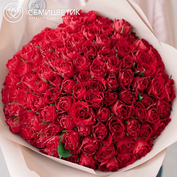 Букет из 101 красной розы (Кения) 40 см Standart в кремовой пленке