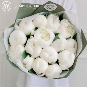 Букет из 15 белых пионов Premium в зеленой пленке