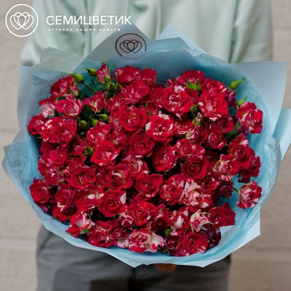Букет из 25 кустовых роз биколор 40 см (Кения) в голубой пленке