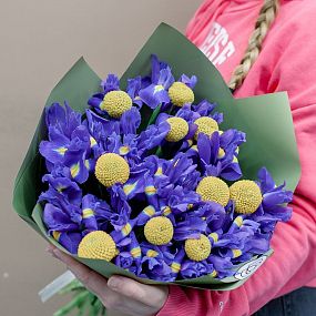 Букет из 25 синих ирисов и 10 краспедий