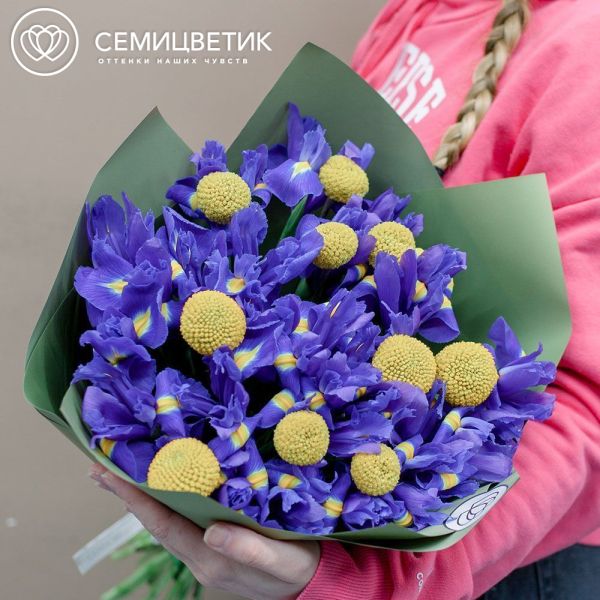 Букет из 25 синих ирисов и 10 краспедий