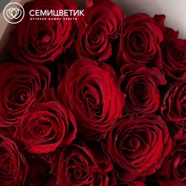 Букет из 15 красных роз Ever Red 50 см (Кения) в кремовой упаковке