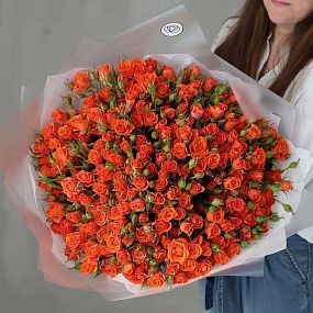 Букет из 25 оранжевых кустовых роз 40-50 см (Россия)