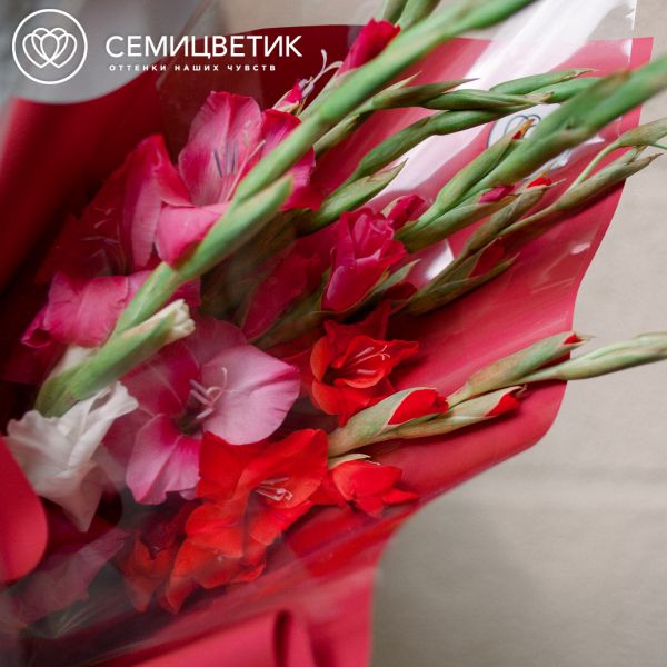Букет из 7 гладиолусов микс