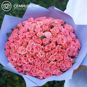 Букет из 101 коралловой розы 35-40 см (Россия) в сиреневой пленке