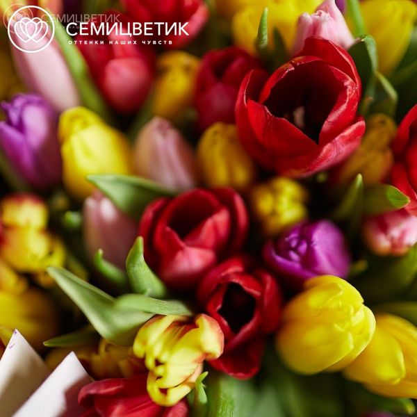 Композиция из 201 тюльпана микс с зеленью в корзине