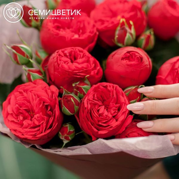 Букет из 9 красных кустовых пионовидных роз Red Piano 40 см