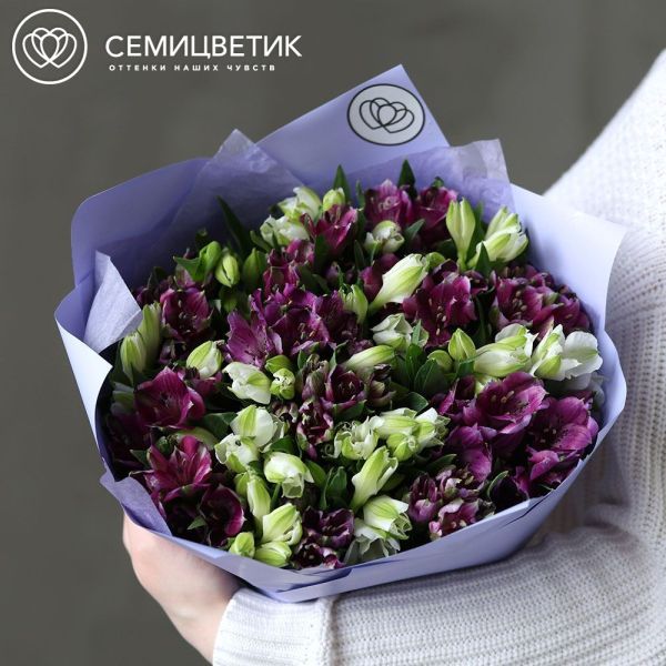 Букет из 25 альстромерий в белых и фиолетовых тонах в сиреневой пленке