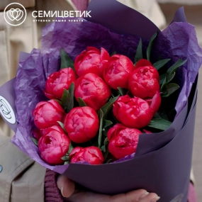 Букет из 11 коралловых пионов Coral Sunset Standart в сиреневой пленке