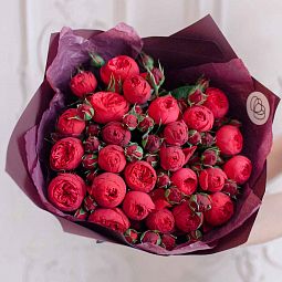 25 красных кустовых пионовидных роз Red Piano 40 см
