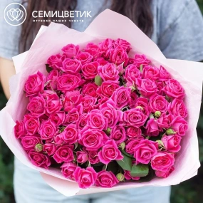 Букет из 21 малиновой кустовой розы 40 см (Кения) в розовой пленке