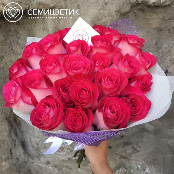 Букет из 25 белых с розовой каймой роз Rivera 50 см (Эквадор)