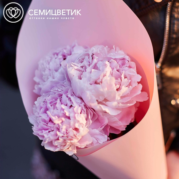 Букет из 3 розовых пионов Premium в розовой пленке