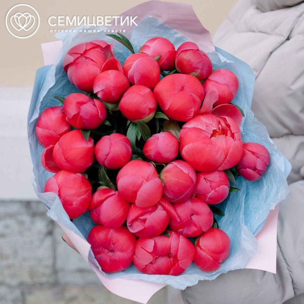 Букет из 25 коралловых пионов Coral Sunset Premium
