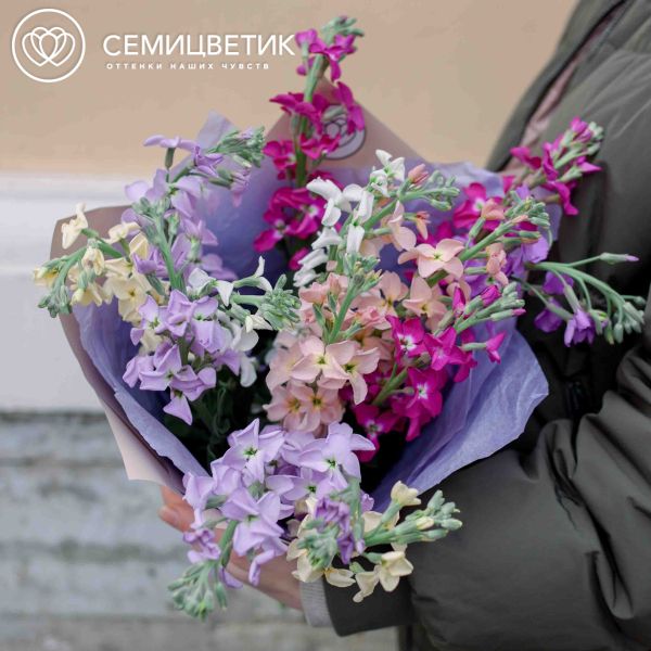Букет из 15 маттиол микс