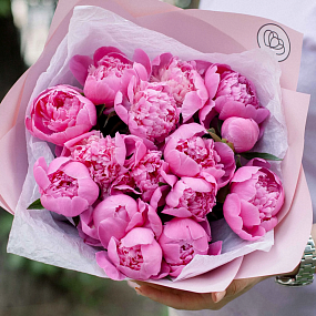 Букет из 15 ярко-розовых пионов Standart в розовой пленке