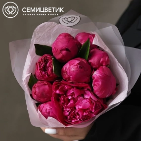 Букет из 9 ярко-розовых пионов Red Sarah Bernhardt Premium в прозрачной упаковке
