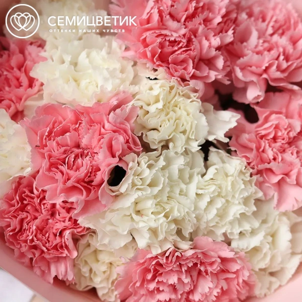 Букет из 15 белых и розовых гвоздик