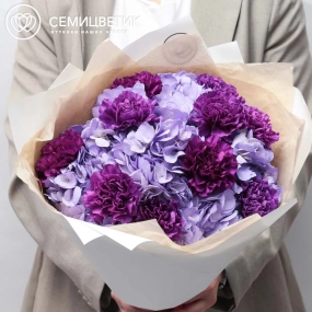 Букет из 3 фиолетовых гортензий и 10 фиолетовых гвоздик в кремовой пленке