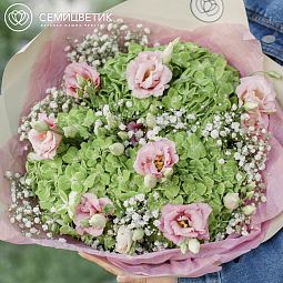 Букет из 3 зеленых гортензий, 4 розовых лизиантусов и белой гипсофилы в упаковке