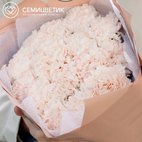 Букет из 15 кремовых гвоздик в кремовой пленке
