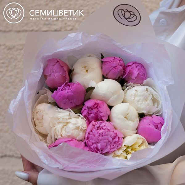 Букет из 15 ярко-розовых и белых пионов Standart Plus в прозрачной пленке