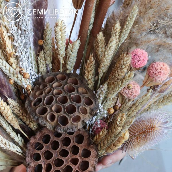 Букет из сухоцветов с лотосом, камышом, пшеницей, льном и пампасом
