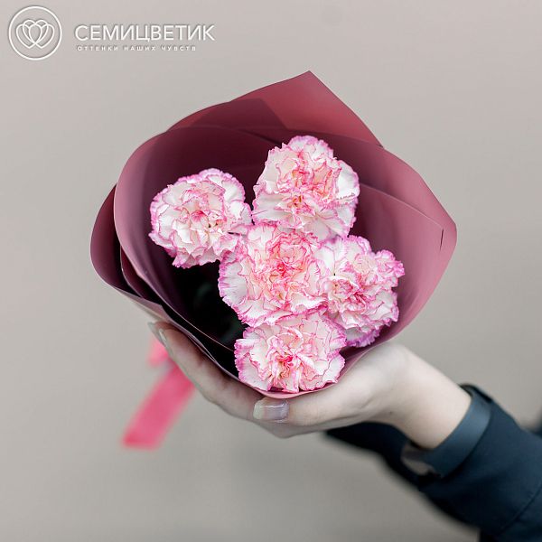 Букет из 5 белых с розовой каймой гвоздик