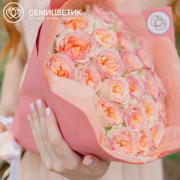 Букет из 25 персиковых пионовидных роз Flash Back 40 см в розовой пленке