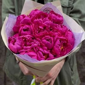 Букет из 15 малиновых пионов Standart Plus в кремовой пленке