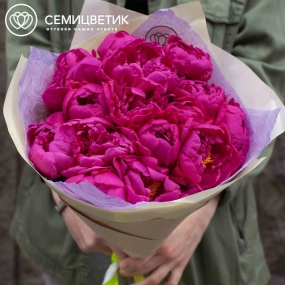 Букет из 15 малиновых пионов Standart Plus в кремовой пленке